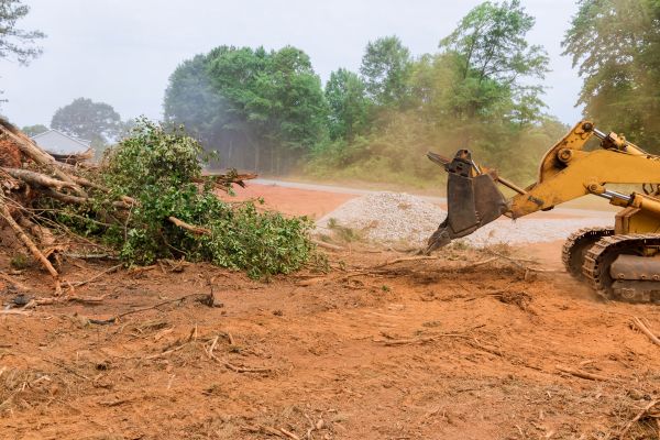 Cost of Forestry Mulching Service in Overland Park