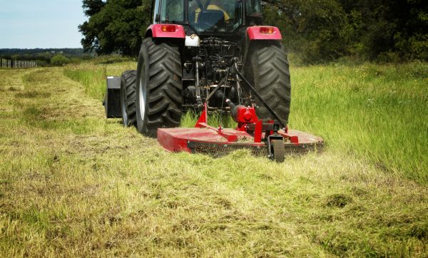 Cost of Brush Clearing Service in Overland Park