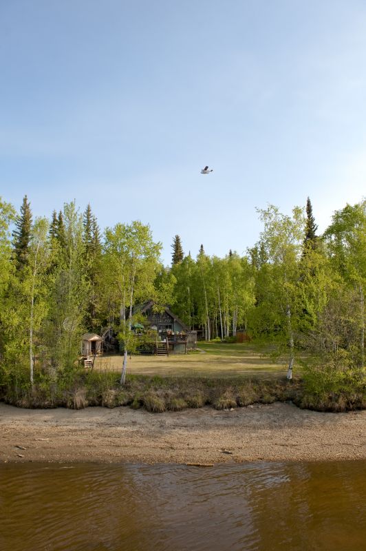 Commercial Land Clearing